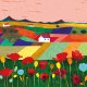 Campos de amapolas / Fields poppy