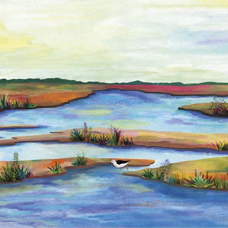ria Formosa, Portugal, Teresa Arroyo Corcobado, Illustration
